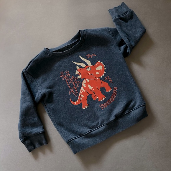jumping beans Other - 3t triceratops sweatshirt Jumping Beans great condition.